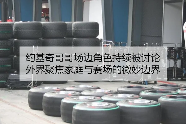 约基奇哥哥场边角色持续被讨论 外界聚焦家庭与赛场的微妙边界